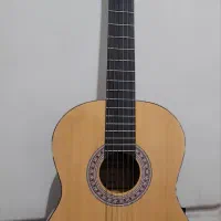 گیتار سوزوکی