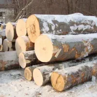 خریدار چوب|خدمات باغبانی و درختکاری|یاسوج, |دیوار