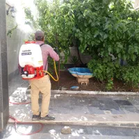 خدمات باغبانی سم پاشی هرس تعویض خاک گلدان