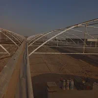 سازه گلخانه ۸۰۰ متری