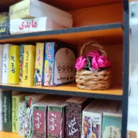 کتابخانه مینیاتوری|مجسمه، تندیس، ماکت|بوشهر, |دیوار