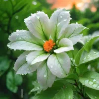 کارشناس انبار  خانم