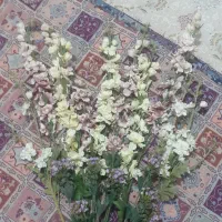 گل مصنوعی|گل مصنوعی|قم, پردیسان|دیوار