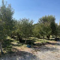 دماوند جابان فروش ۲۸۲ متر باغ زمین آب+برق+گاز|فروش زمین و ملک کلنگی|دماوند, دماوند|دیوار