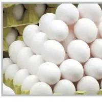 تخم مرغ ارزان