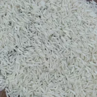برنج فجرسوزنی سالم و لاشه