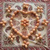 تخم مرغ بومی گلپایگانی گنجینه