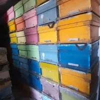 ۷۰ عدد کندوی زنبور عسل معاوضه با زنبور هم دارم