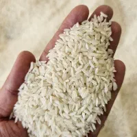 برنج حوشاپ نرم و اصیل ارسال رایگان