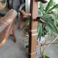 سه تار حرفه ای