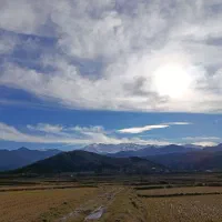 2هکتار-مزرعه-وباغ-مناسب-گل-وگیاه