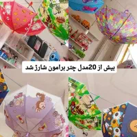 انواع شال، کلاه، گوشگیر، چتر