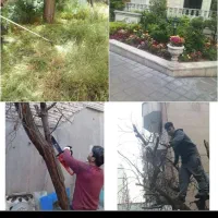 خدمات سمپاشی .