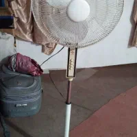 سالم پرقدرت