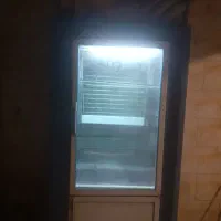 یخجال سالم ایستاده