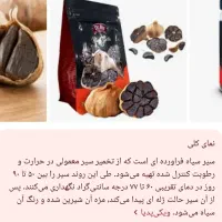 سیر سیاه|خوردنی و آشامیدنی|کرج, برغان|دیوار