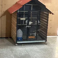 لوازم جانبی حیوانات