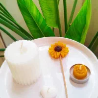 انواع شمع های یلدایی|صنایع دستی و سایر لوازم تزئینی|کازرون, |دیوار