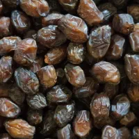 خرما درجه یک صادراتی و چیپش خرما پیارم|عمده‌فروشی|تهران, تهرانپارس جنوبی|دیوار