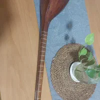 تنبور بسیار خوش صدا|سازهای سنتی|زنجان, |دیوار