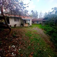 خونه شالیزار6900مترکوچصفهان ب خشکبیجار،لشتنشا،رشت|فروش خانه و ویلا|خمام, |دیوار