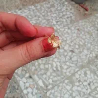 انگشتر ظریف پروانه ای رنگ ثابت(۲۰۰ تومان)