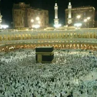 فروس۲۴ عدد فیش