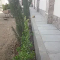 طراحی اجرا|خدمات باغبانی و درختکاری|هشتگرد, هشتگرد قدیم|دیوار