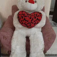 خرس قد ۱۶۰