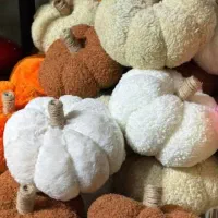 سفارشات تزیینات پاییزه