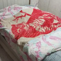 پتو دونفره|رختخواب، بالش، پتو|شیراز, شهرک والفجر|دیوار