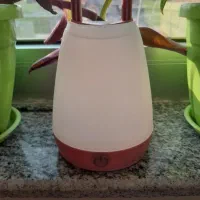 چراغ خواب|چراغ خواب و آباژور|مرند, |دیوار