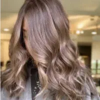 مدل برای مش