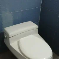 توالت فرنگی