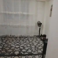 قالی در حد نو