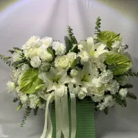 باکس لیلیوم سبز خاص کد ۱۳۲۱ گلاریس