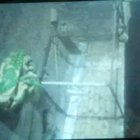 قفس کبوتر