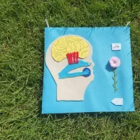 طرح جابر برای کل پایه های مدارس مقوا یا نمدی