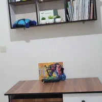 فروش سرویس چوب