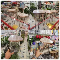 استند پایه فلزی رویه چوبی گلدان فیکوس افوربیا ورمی