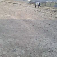 فروش زمین 300 متری در شیراز|فروش زمین و ملک کلنگی|شیراز, حسن آباد|دیوار