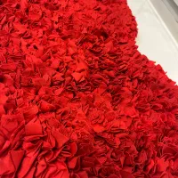 پادری|پادری|مشهد, هفت تیر (آب و برق)|دیوار