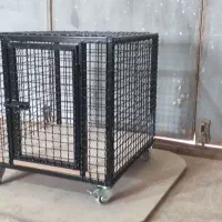 قفس حیوانات اهلی|لوازم جانبی حیوانات|صوفیان, |دیوار