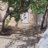 اجاره خونه ویلایی دربست حاشیه شقایق جنوبی|اجارهٔ خانه و ویلا|مشهد, هفت تیر (نه دره)|دیوار