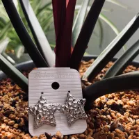 اکسسوری و بدلیجات