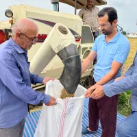 طارم لوکس کشت پاییز|خوردنی و آشامیدنی|تهران, منیریه|دیوار