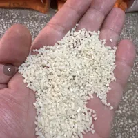 یک و نیم تن لاشه هاشمی