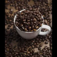 استخدام نیرو کافه