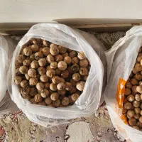 گردو دماوند چرب و خوش مغز|خوردنی و آشامیدنی|فیروزکوه, |دیوار