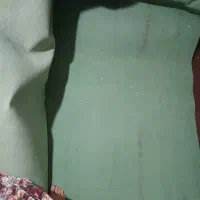 موکت12متری سبز|موکت|یزد, |دیوار